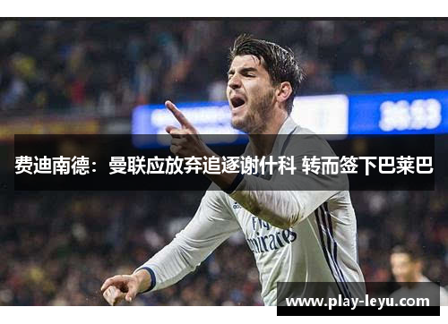费迪南德：曼联应放弃追逐谢什科 转而签下巴莱巴
