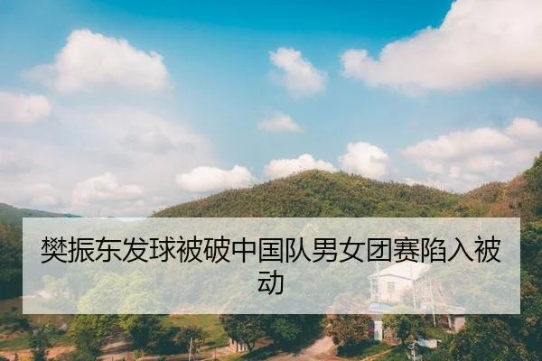 樊振东发球被破中国队男女团赛陷入被动（LEYU）